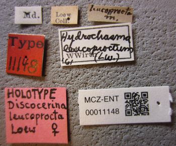 Media type: image;   Entomology 11148 Aspect: labels